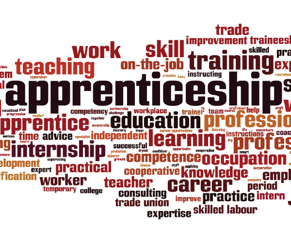 Apprenticeships - Matching best companies, their employees, and interested students to critical training and credentials